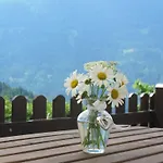 Guest house Chalet Catton Four Bedroom Appartement Near Bad Kleinkirchheim *