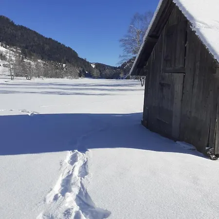 Chalet Catton Four Bedroom Appartement Near Bad Kleinkirchheim Radenthein