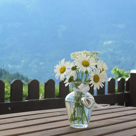Guest house Chalet Catton Four Bedroom Appartement Near Bad Kleinkirchheim *
